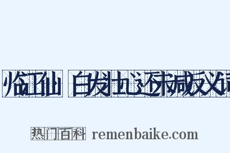 临江仙·白发壮心还未减反义词是什么意思的图片